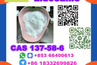  Manufacturer Supply Raw Material CAS 137586 Lidocaine